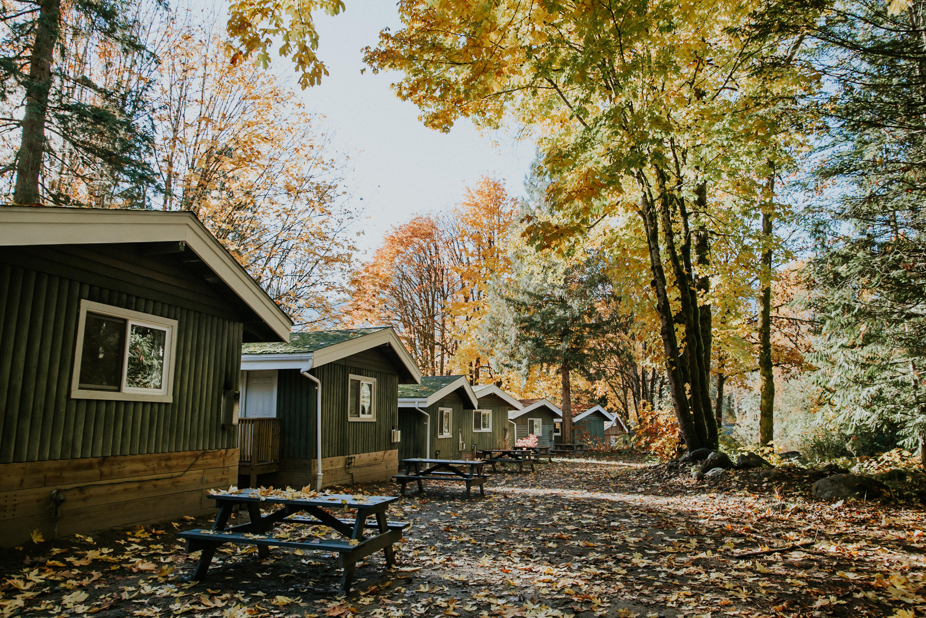 Picture for Sunwolf Riverside Resort