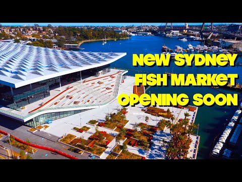 Sydney Fish Market