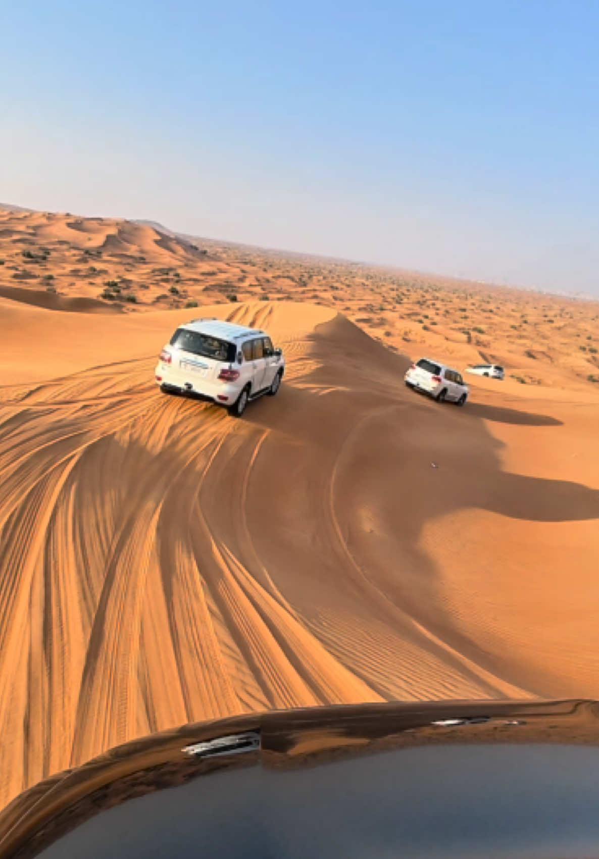 סיור מדבר (Desert Safari Dubai)