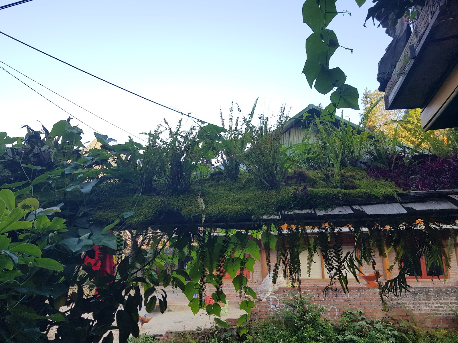 Ta Phin Village