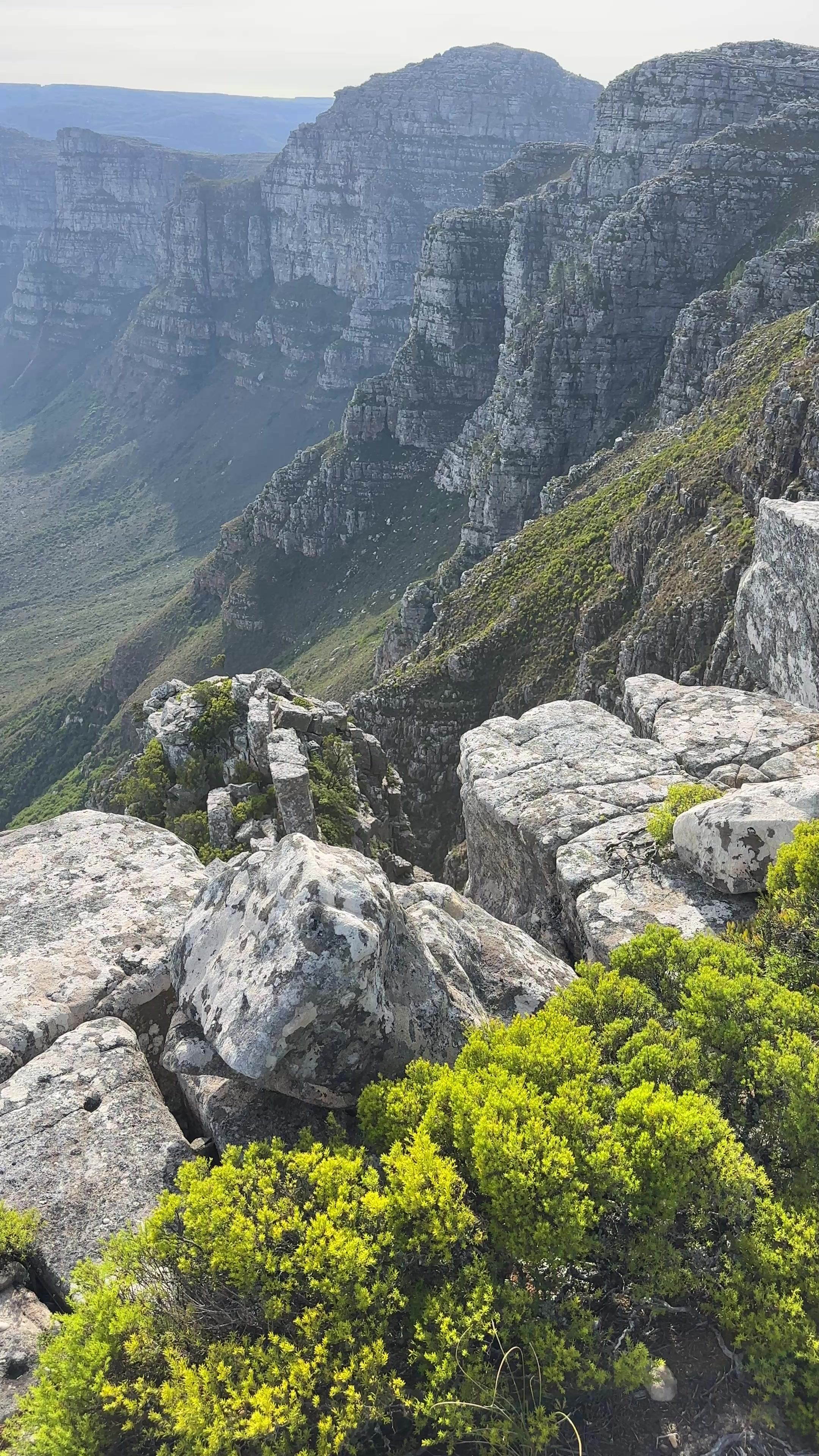 Table Mountain