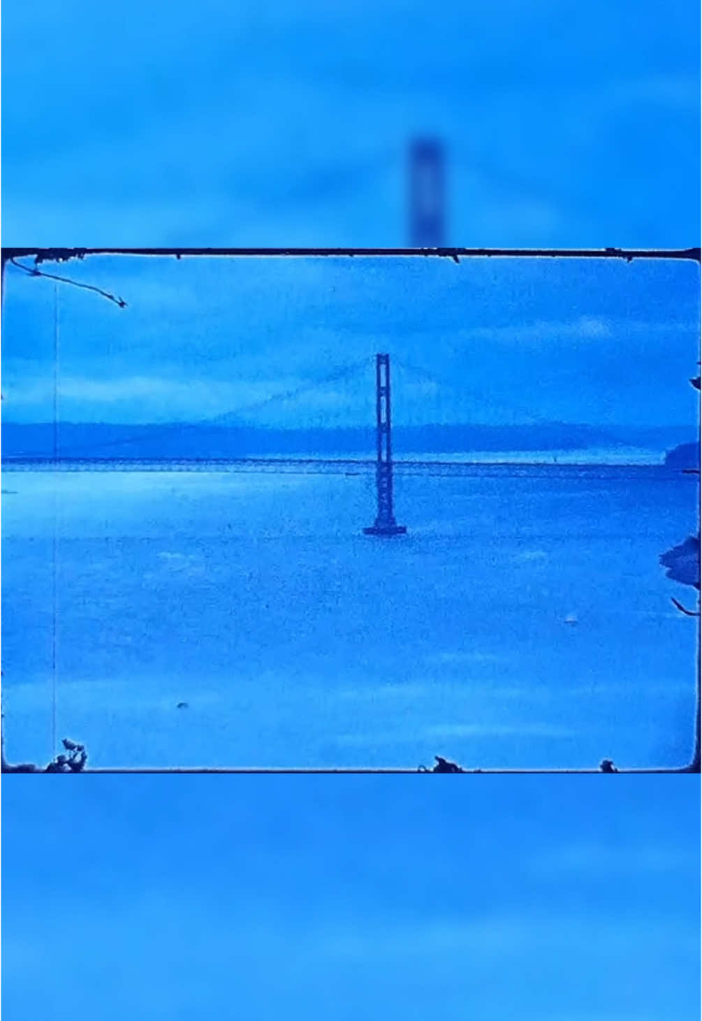 Tacoma Narrows Bridge
