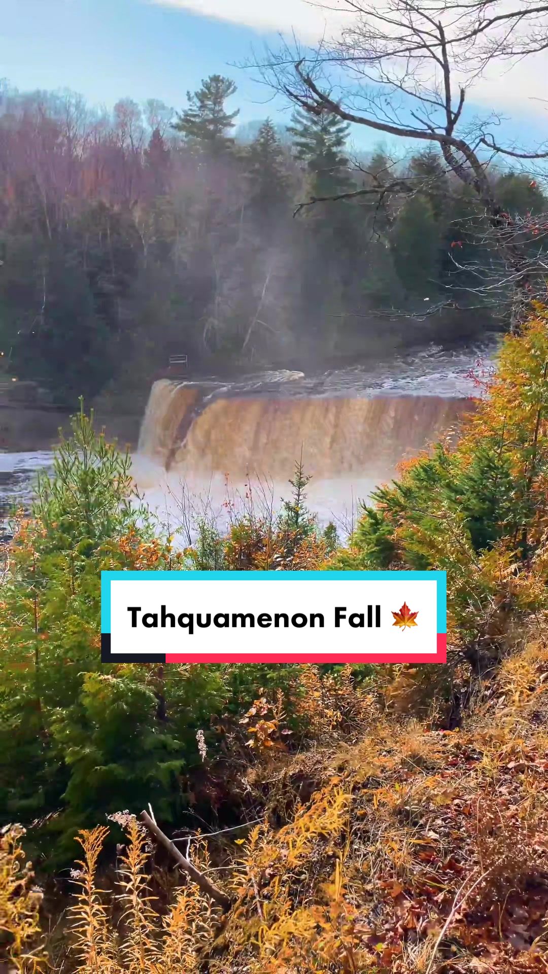 Tahquamenon Falls State Park