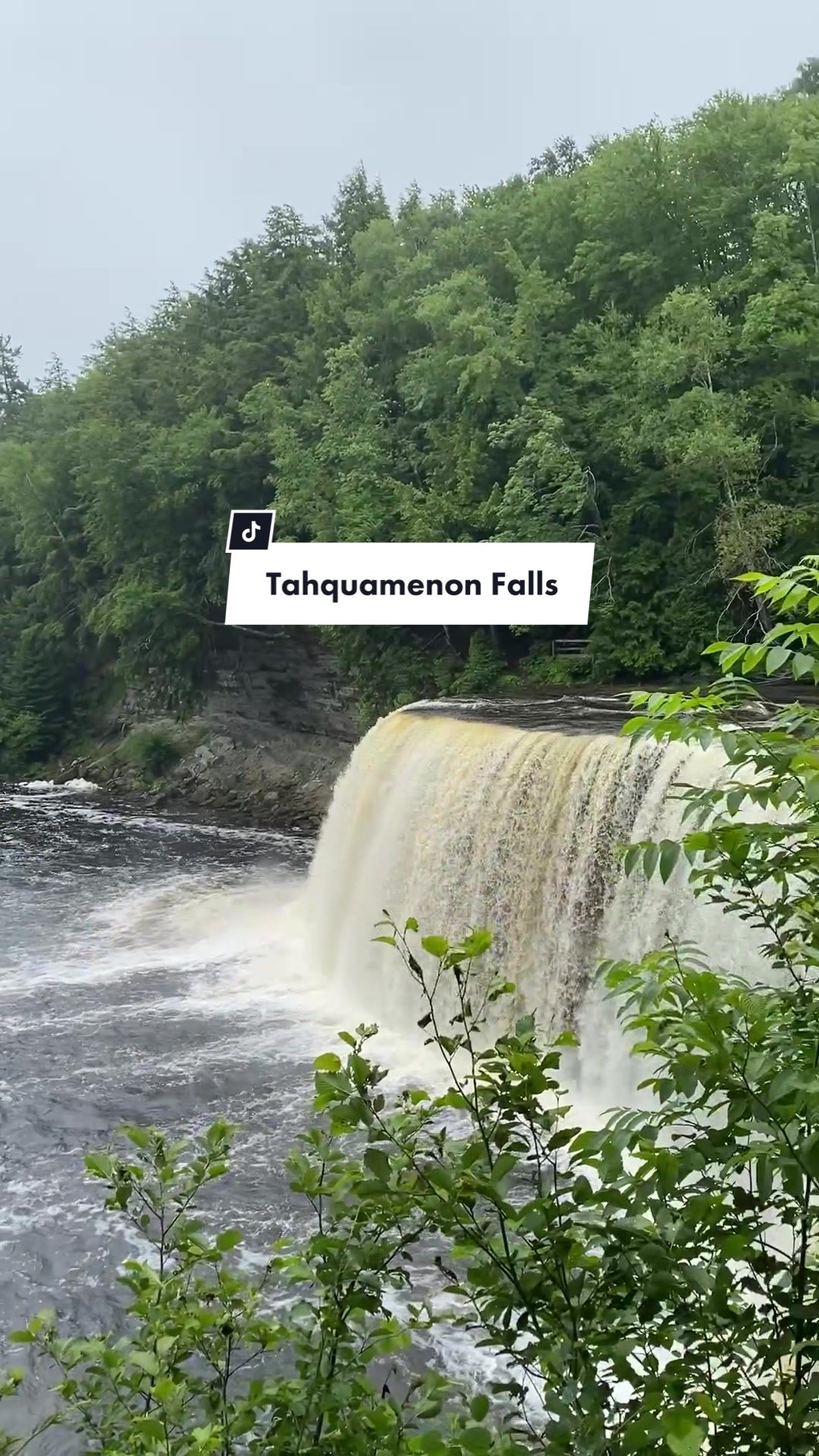 Tahquamenon Falls State Park