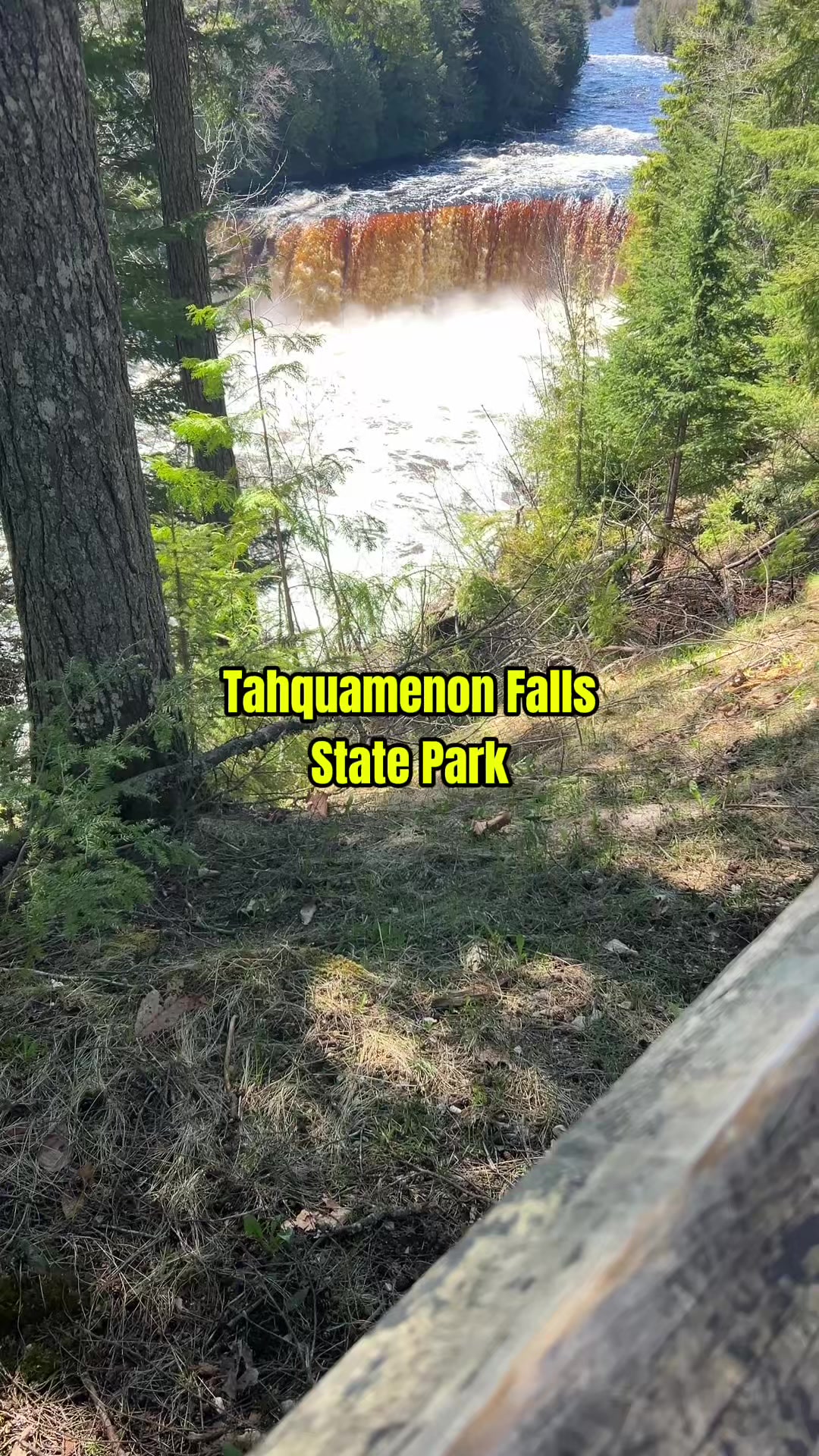 Tahquamenon Falls State Park