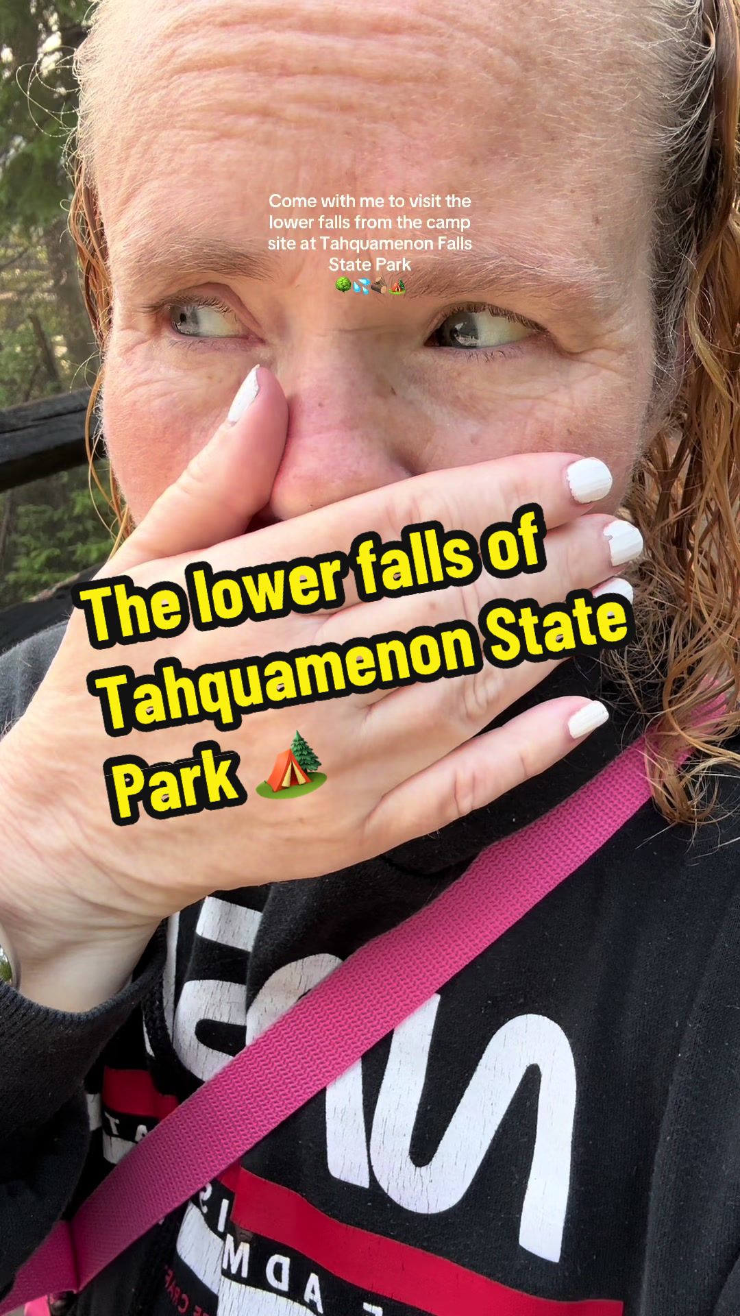 Tahquamenon Falls State Park