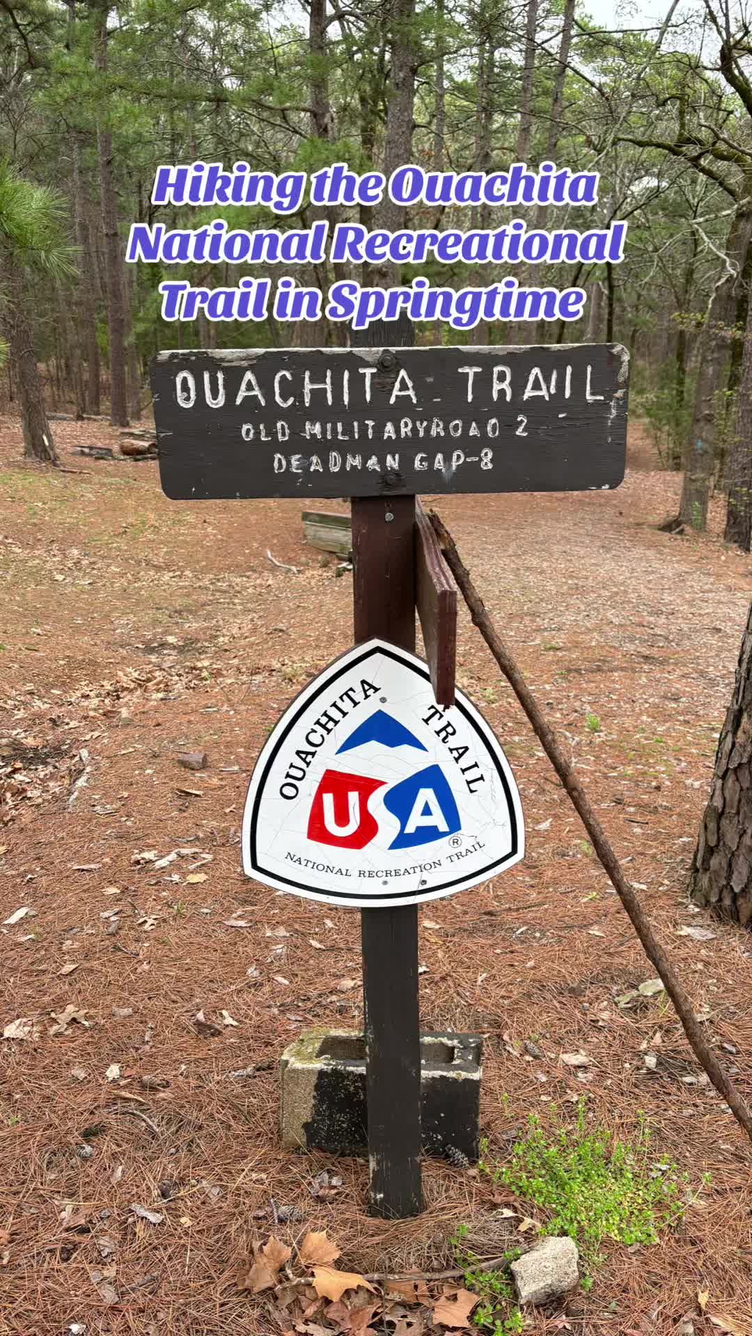 Talimena State Park