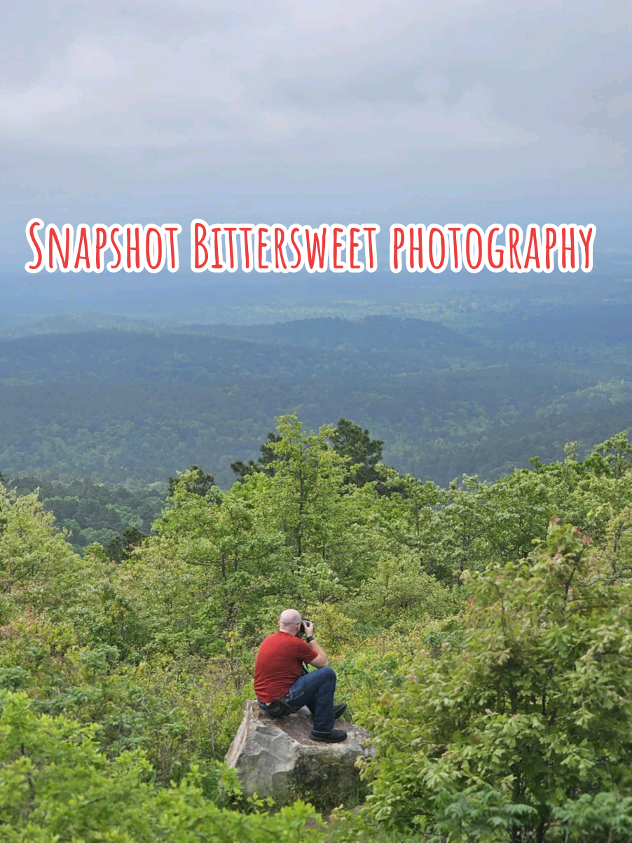 Talimena State Park