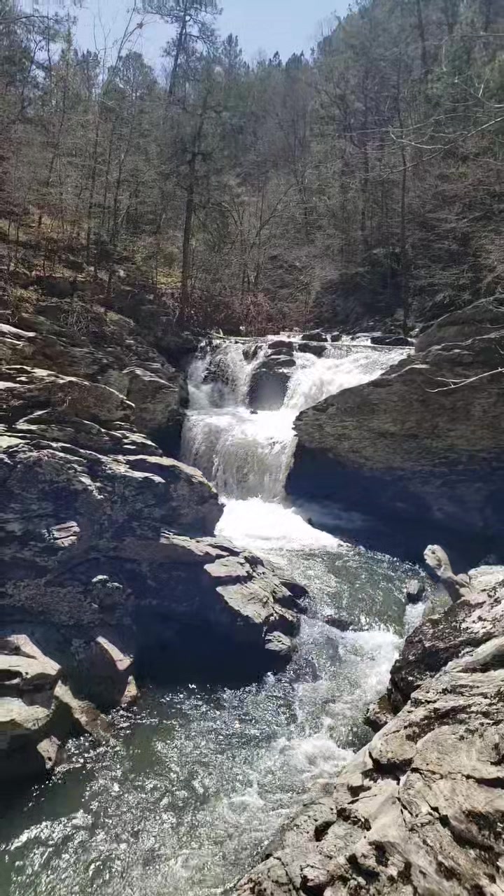 Talladega National Forest