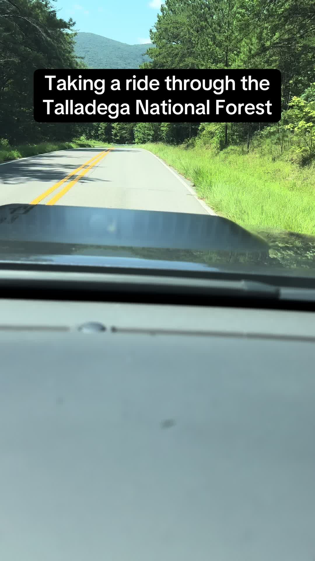 Talladega National Forest