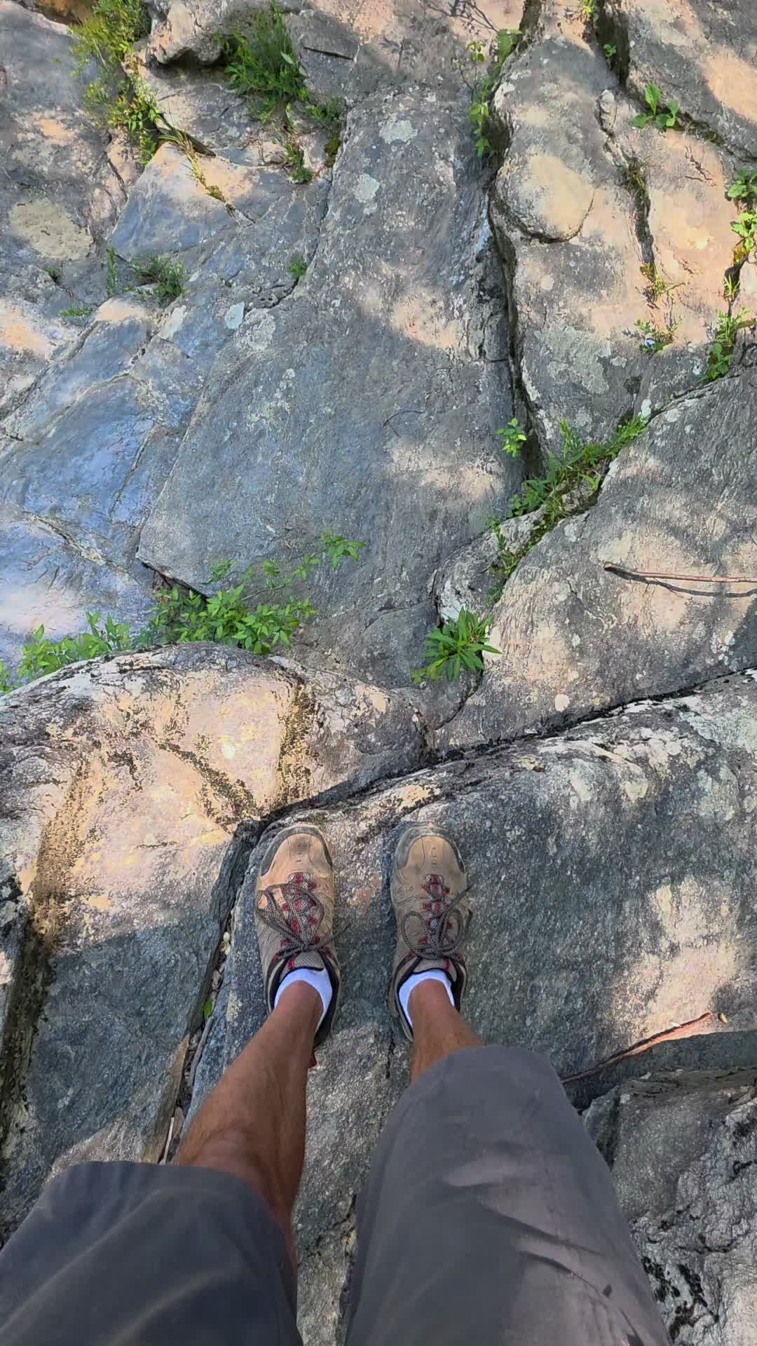 Talladega National Forest