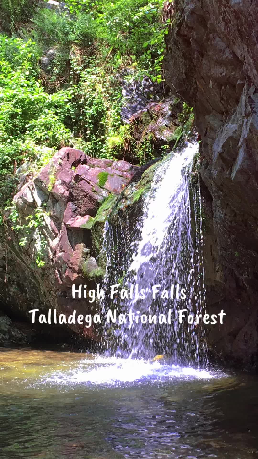 Talladega National Forest