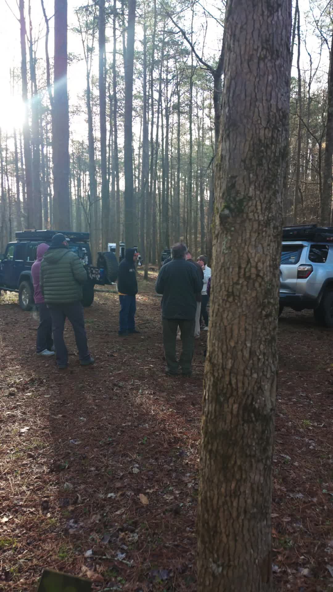 Talladega National Forest