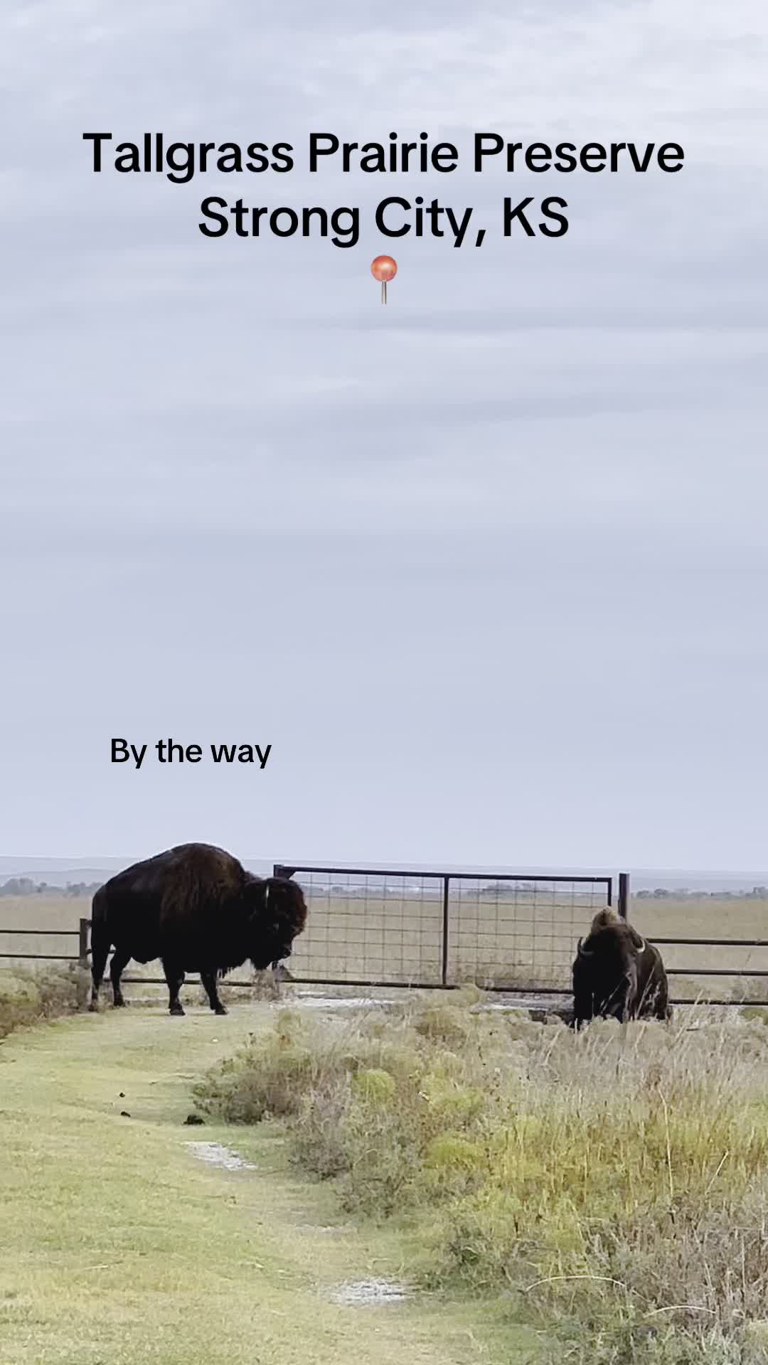 Tallgrass Prairie National Preserve