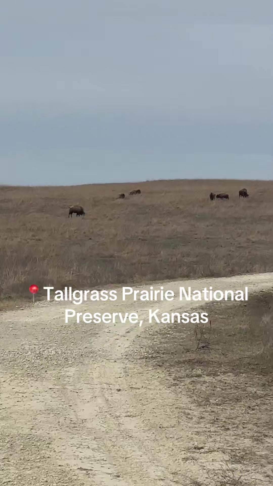 Tallgrass Prairie National Preserve