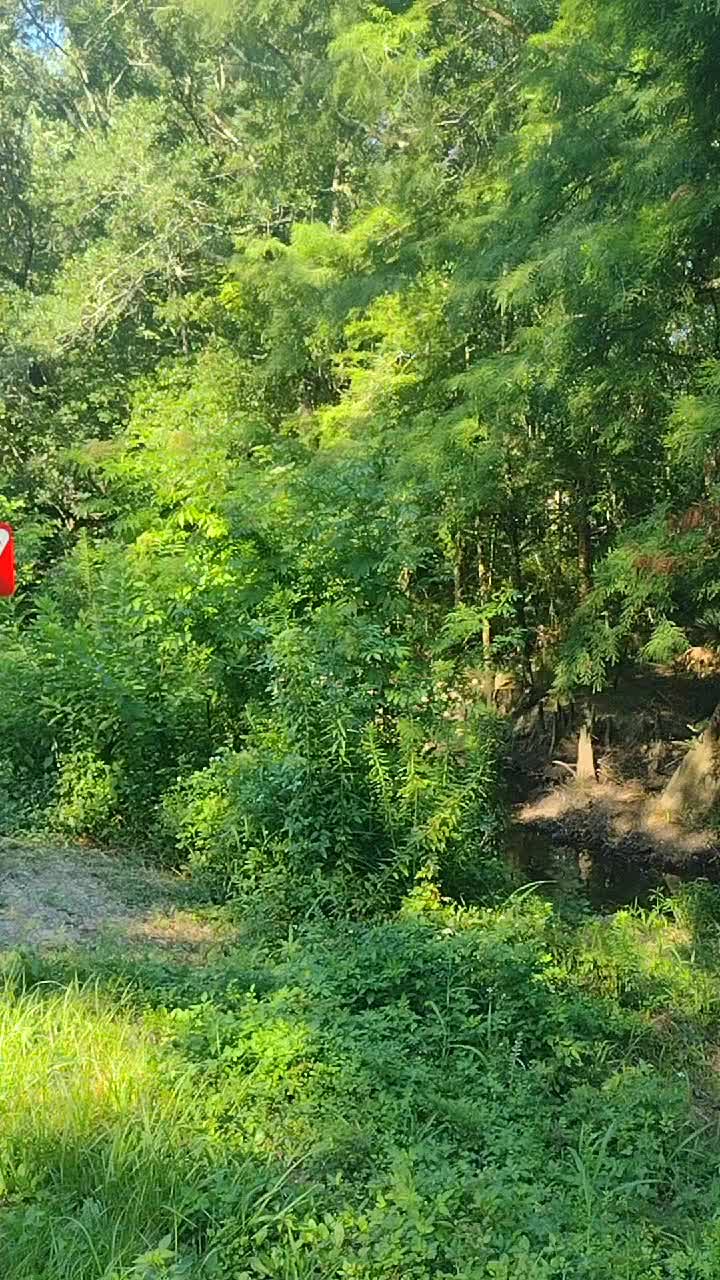 Tammany Trace, St. Tammany Parish