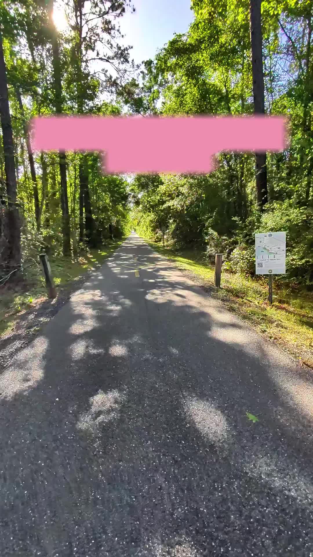 Tammany Trace, St. Tammany Parish