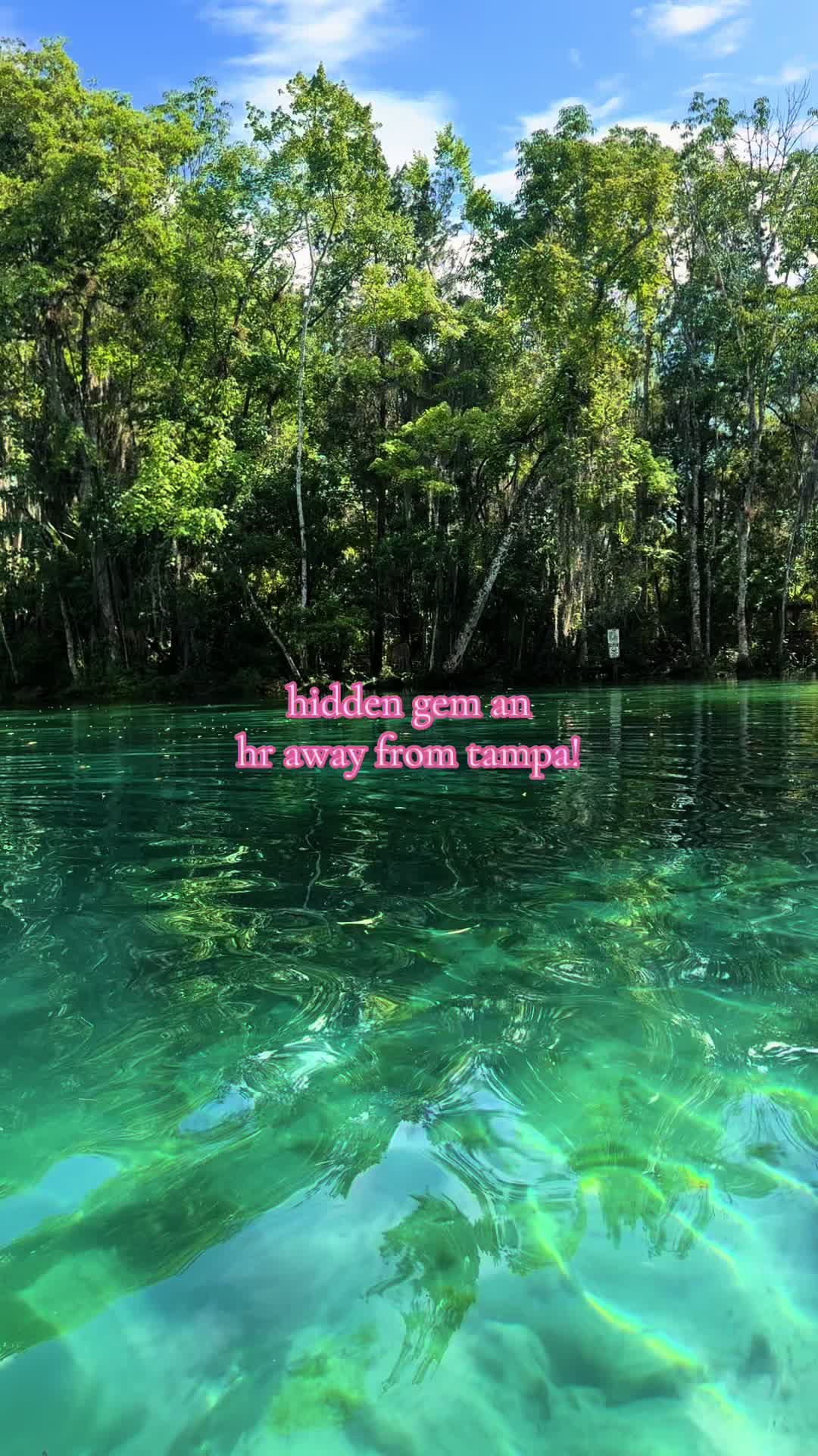Tampa