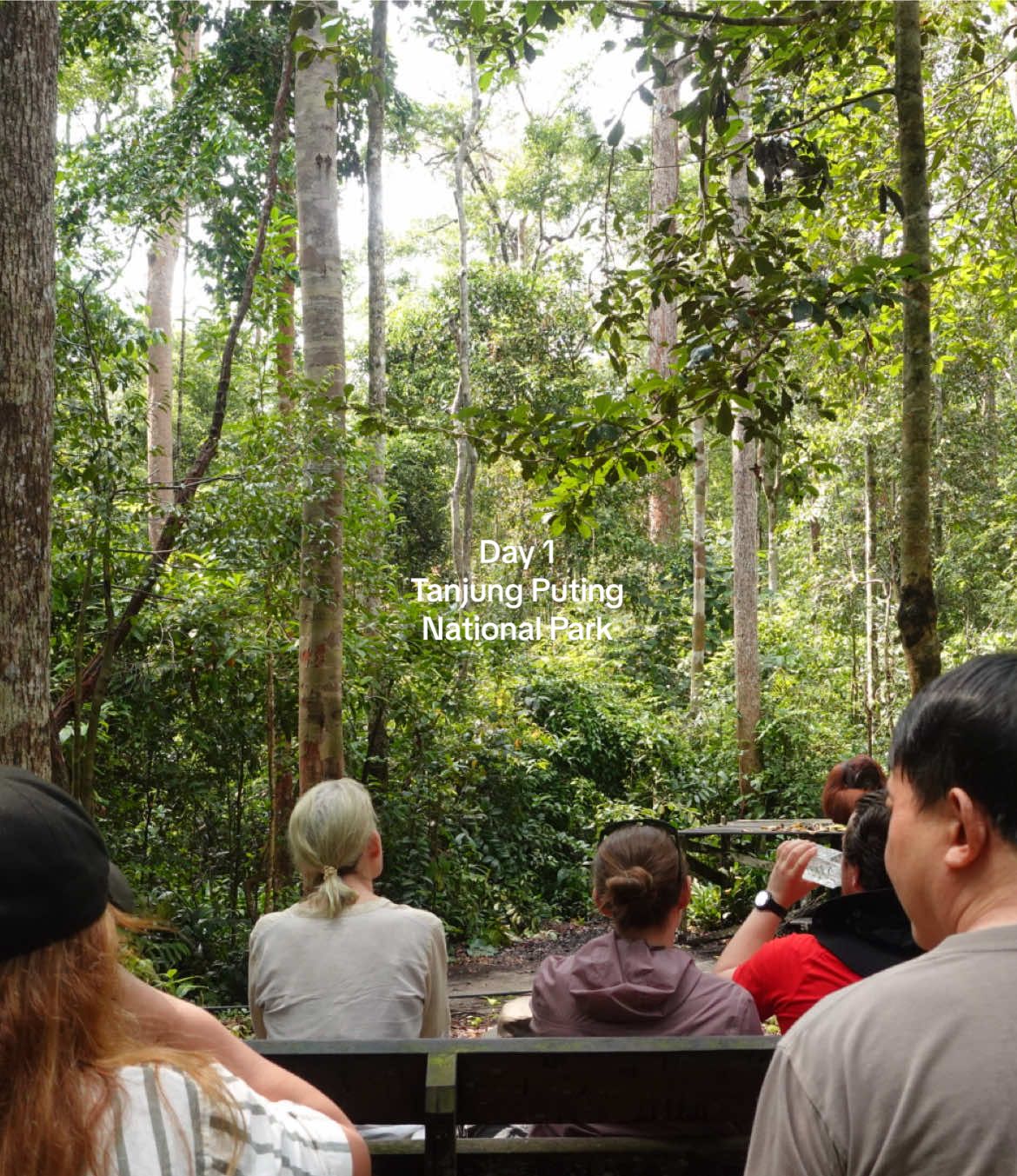 Tanjung Puting National Park