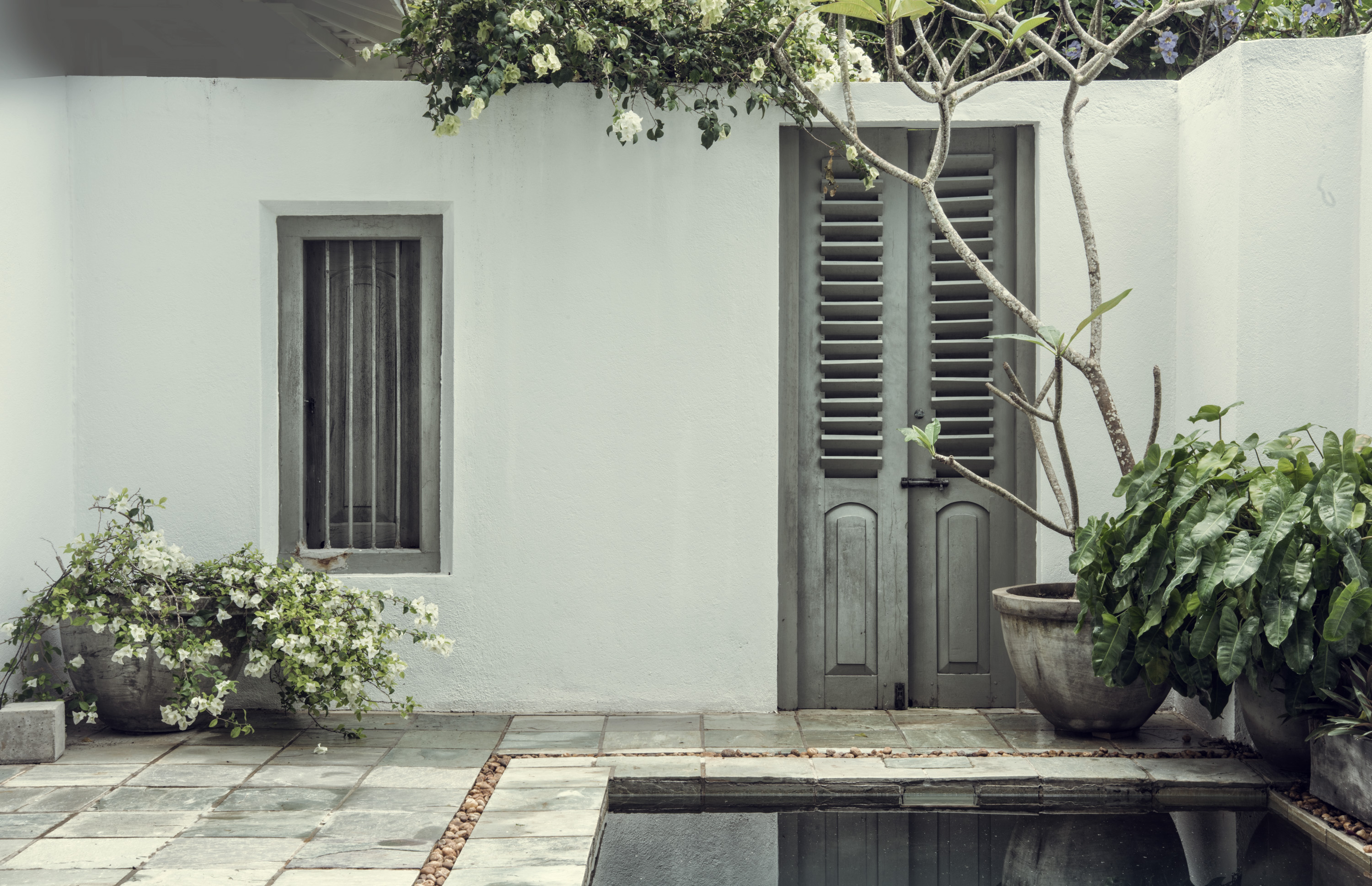Picture for Taru Villas – Mawella