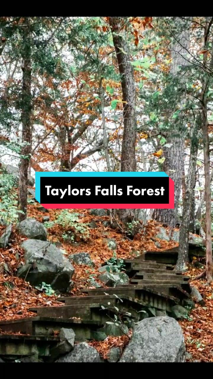 Taylor's Falls