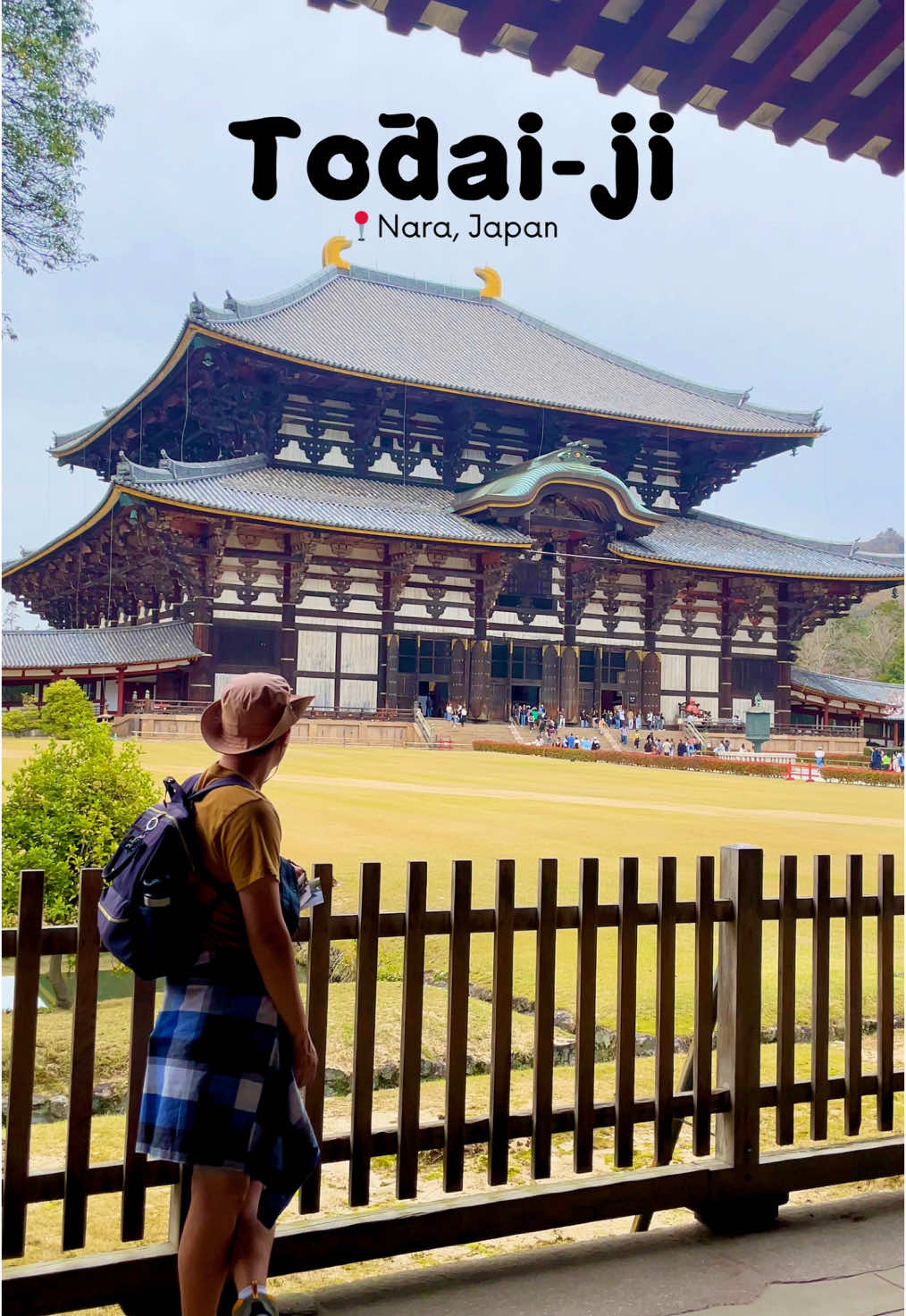 טדאגאווה (Nara Park / Todai-ji, נארה)