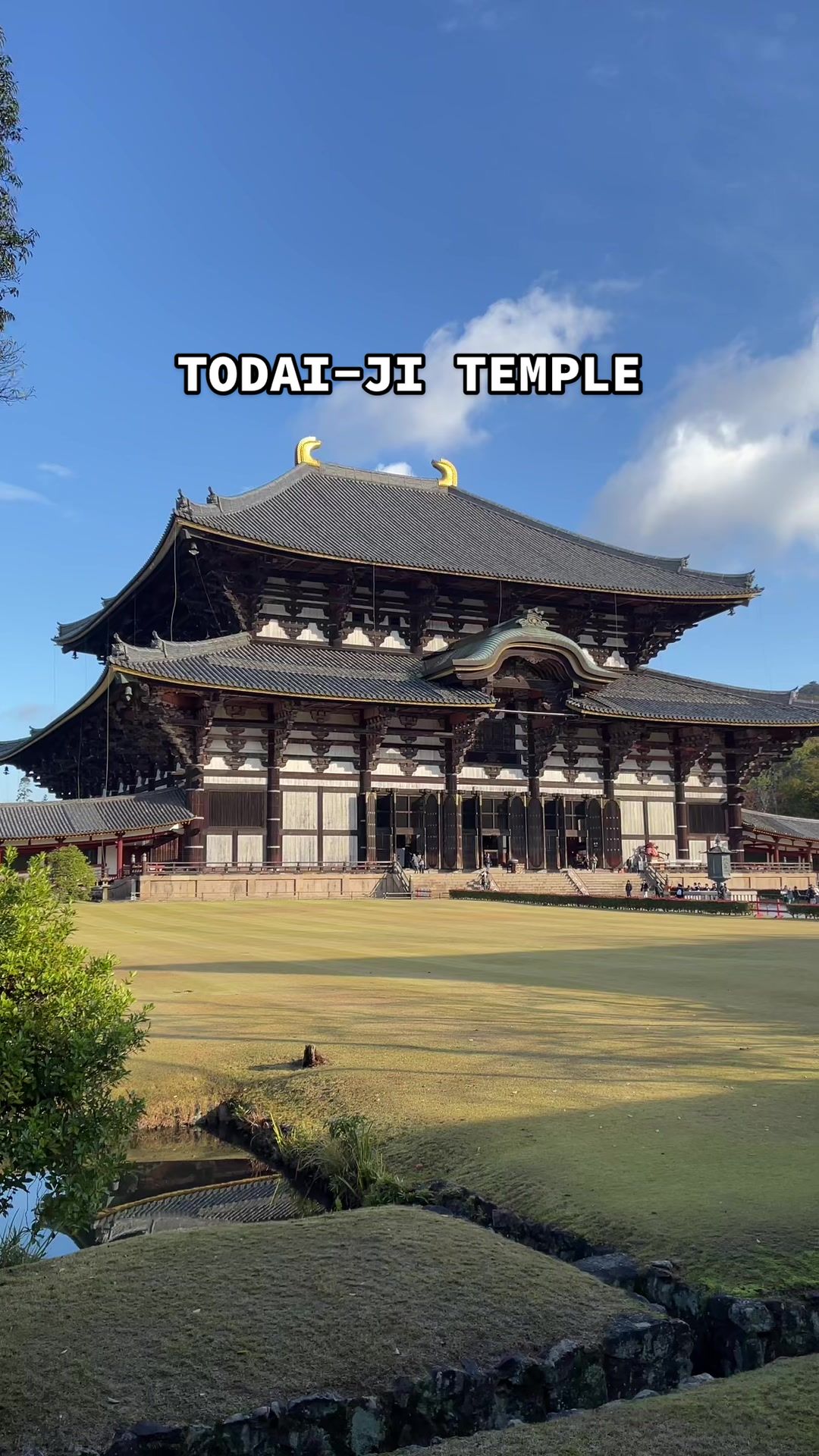 טדאגאווה (Nara Park / Todai-ji, נארה)