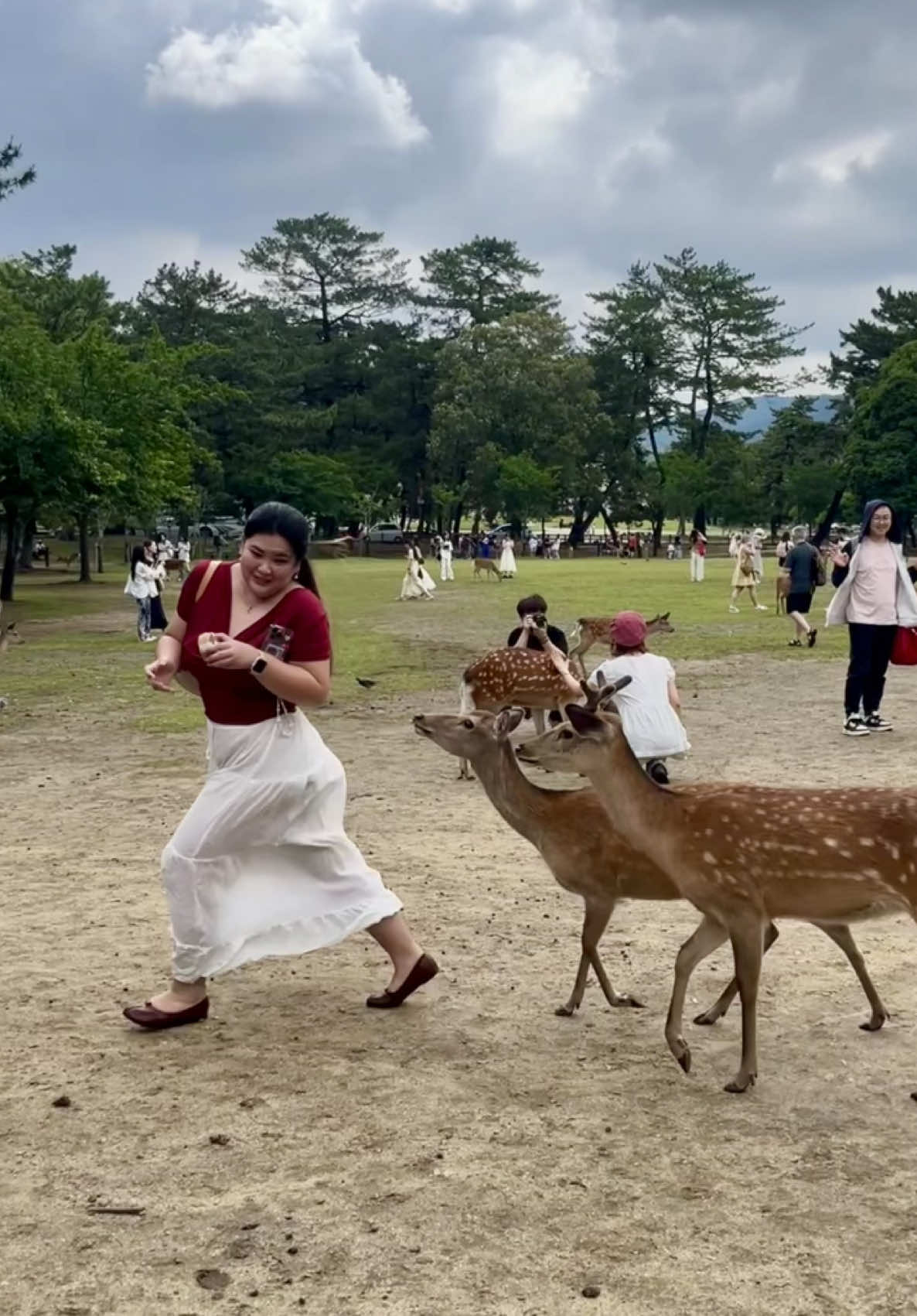 טדאגאווה (Nara Park / Todai-ji, נארה)