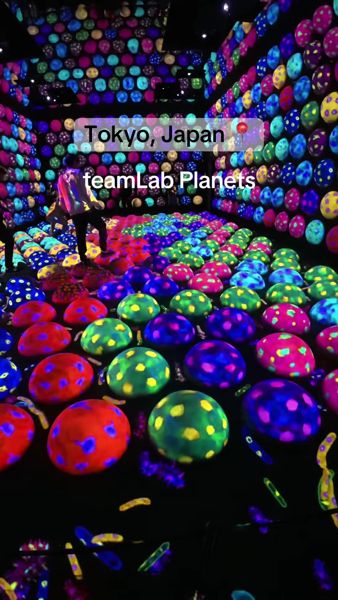 teamLab Planets TOKYO