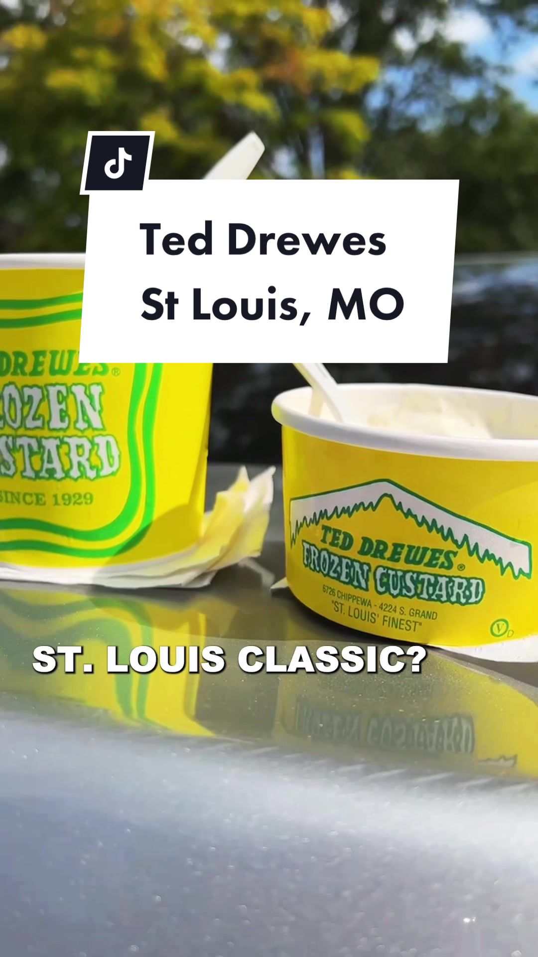 Ted Drewes Frozen Custard