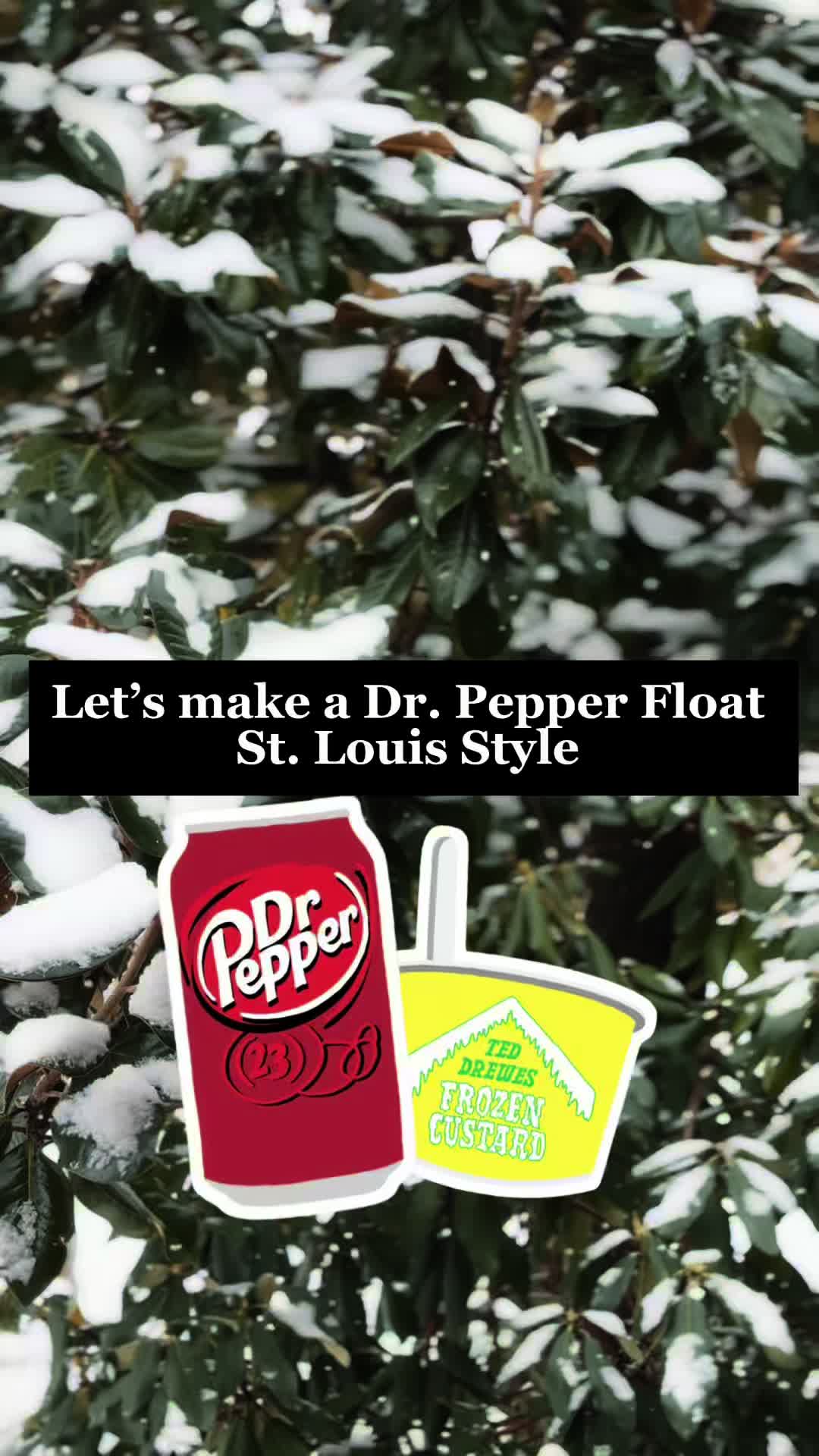 Ted Drewes Frozen Custard