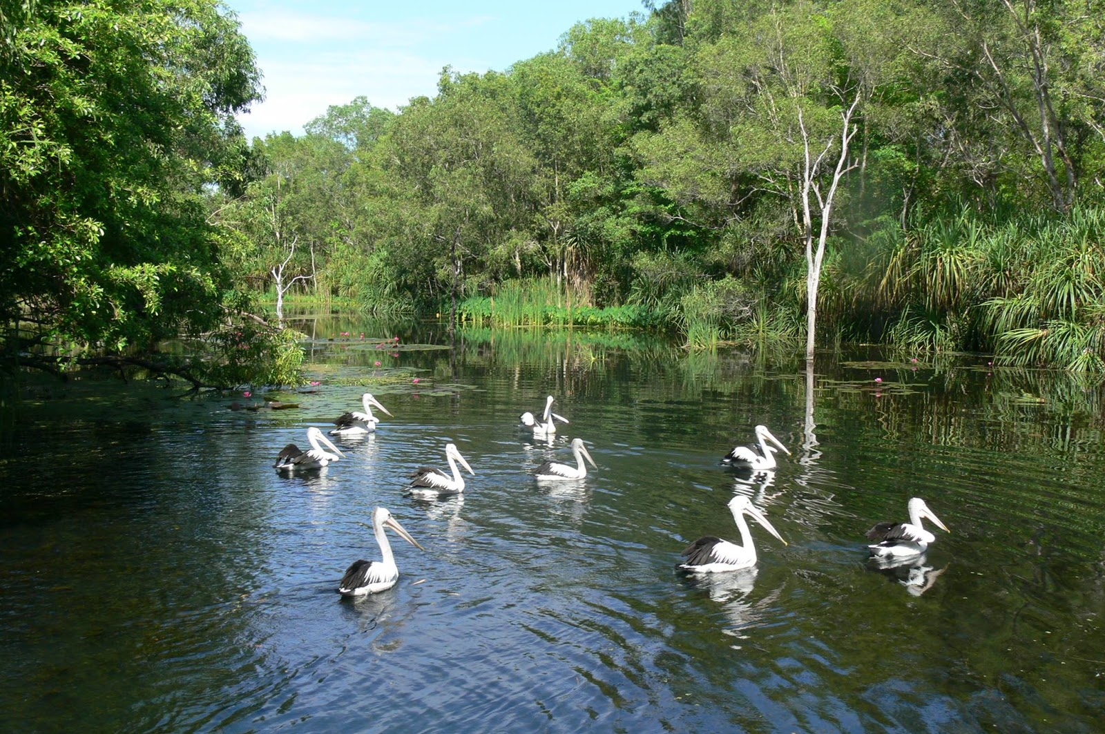 Territory Wildlife Park