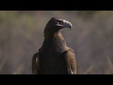 Territory Wildlife Park