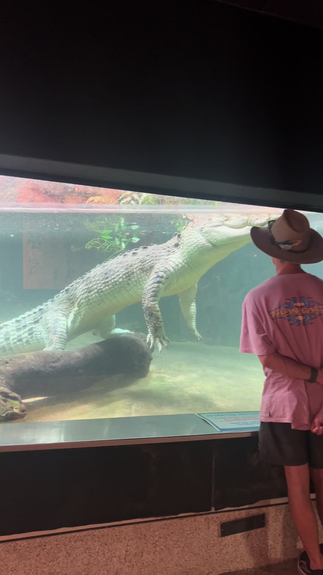 Territory Wildlife Park