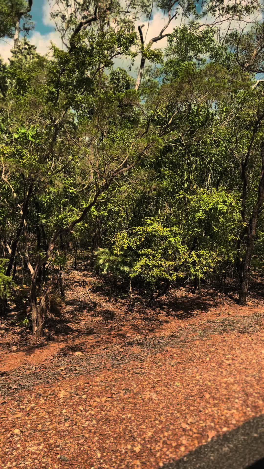 Territory Wildlife Park