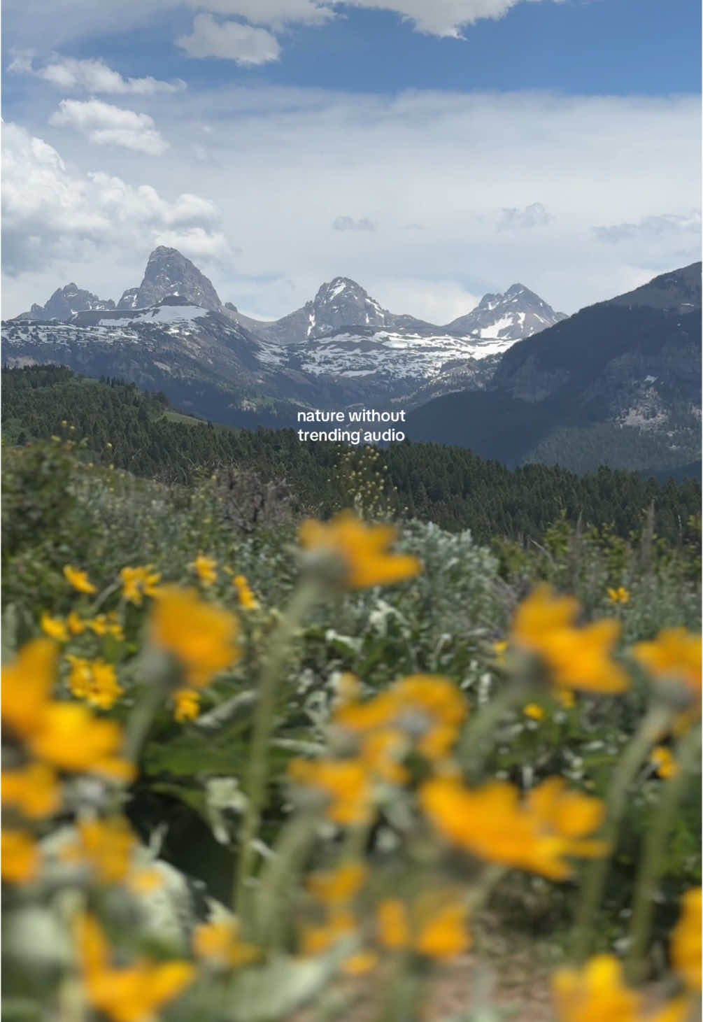 Teton Valley, Idaho