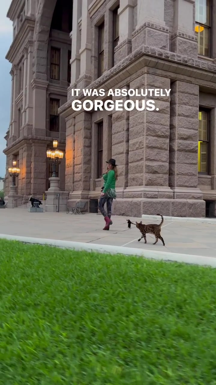 Texas State Capitol