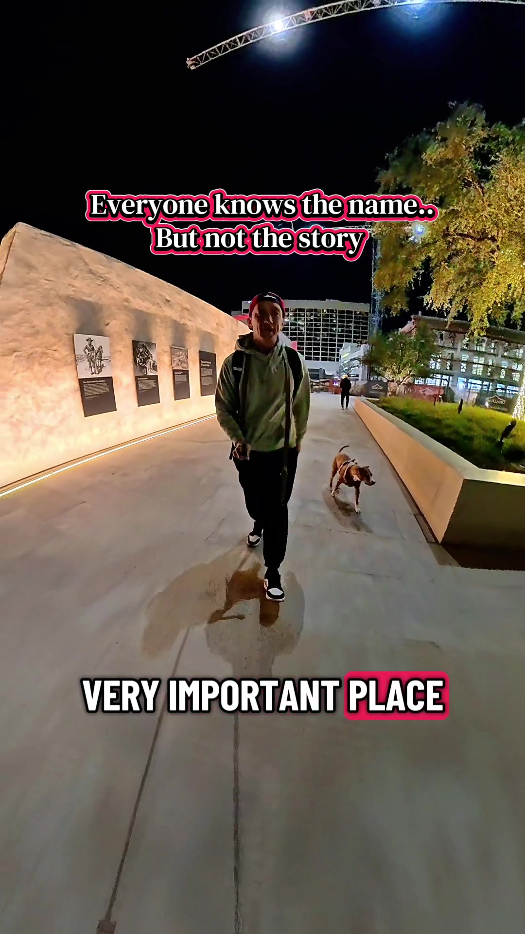 The Alamo