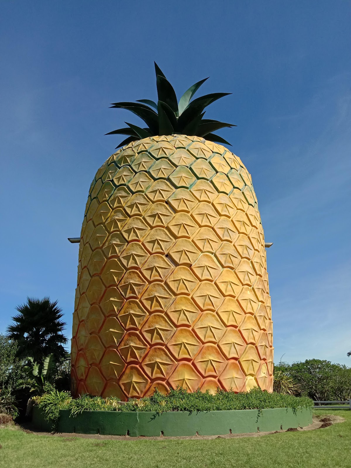 Picture for The Big Pineapple