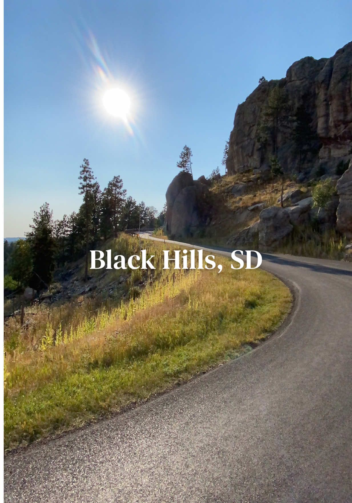 The Black Hills, SD