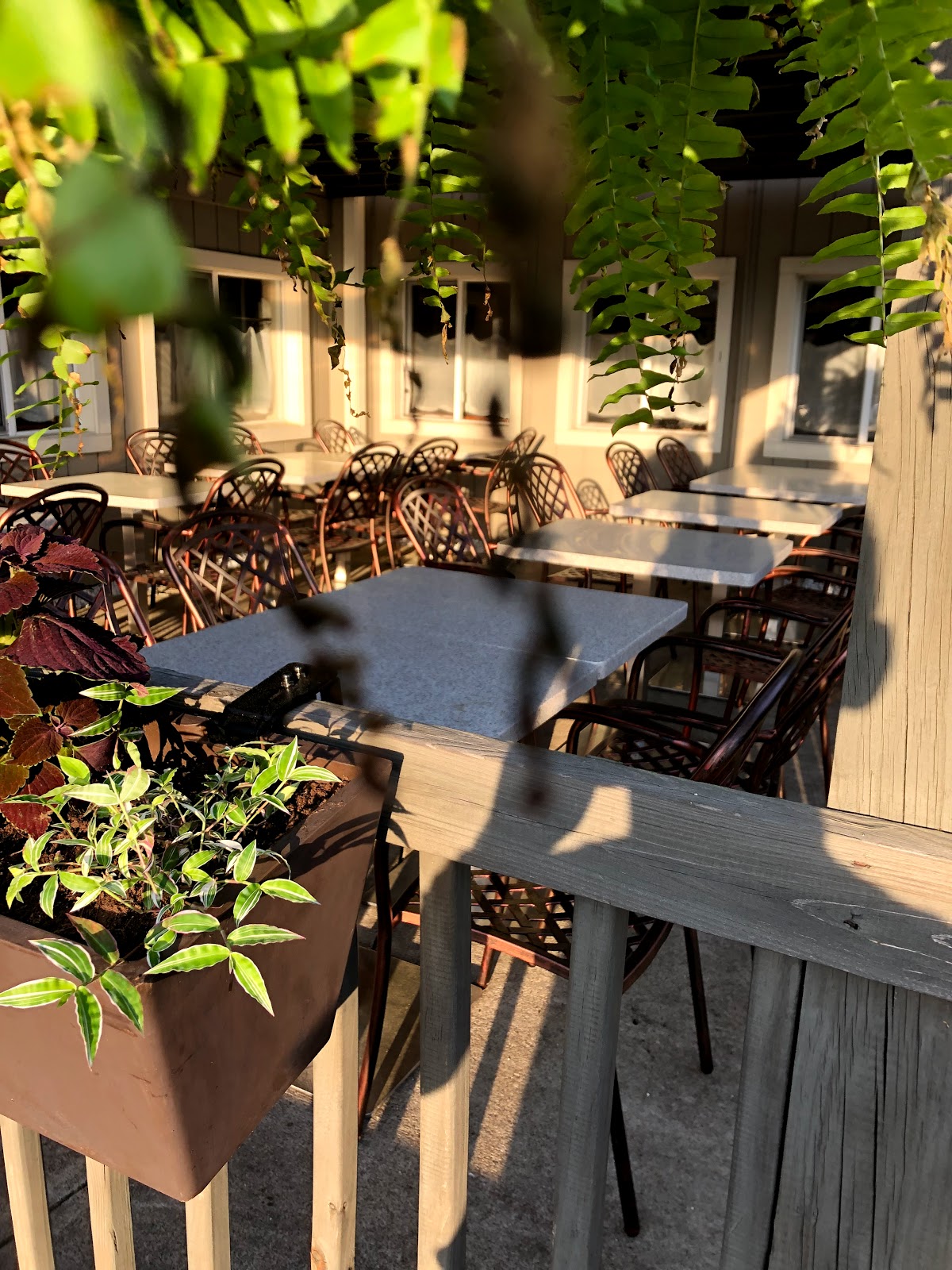 Picture for The Blue Door Cafe & Bakery