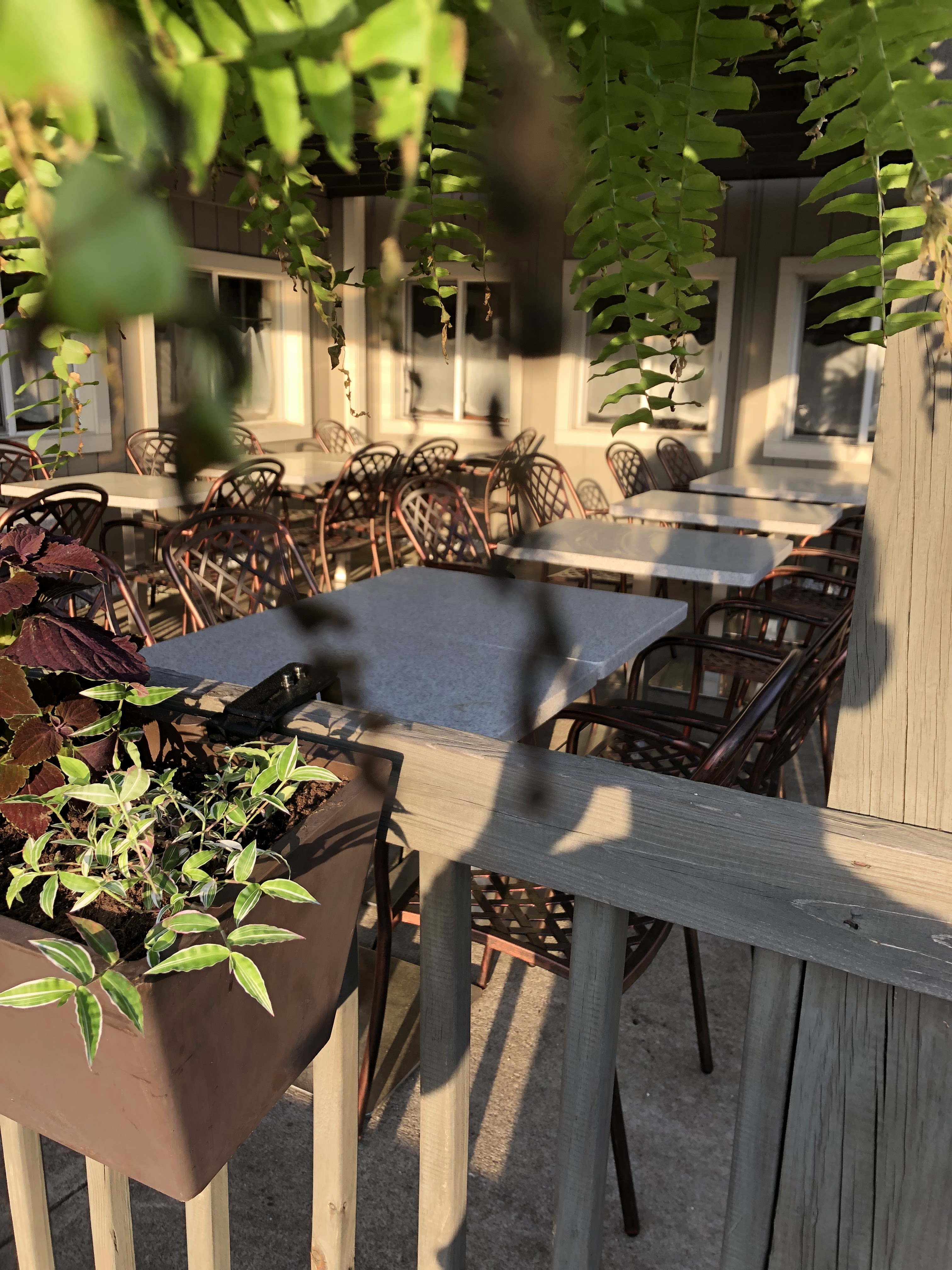 תמונה עבור The Blue Door Café & Bakery