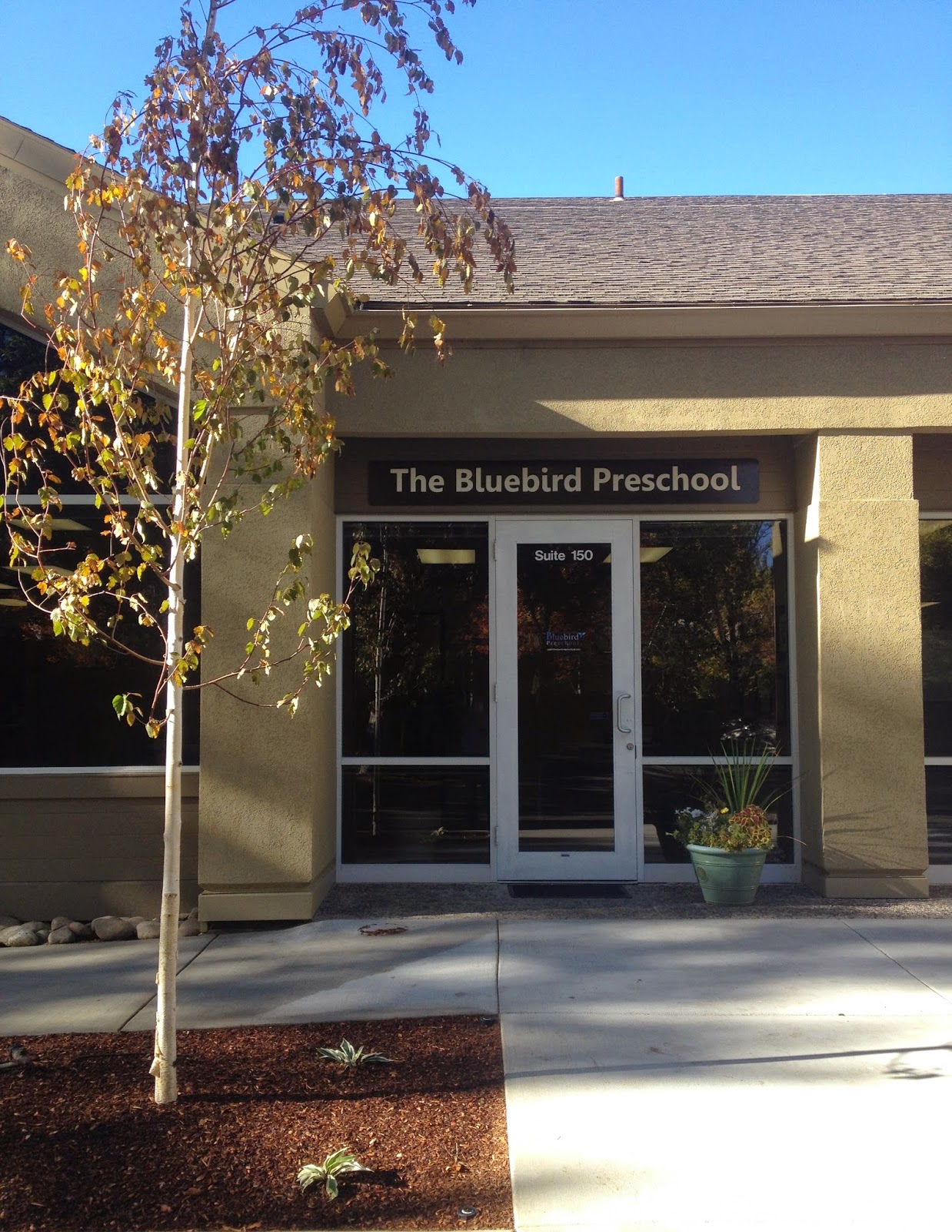 Picture for The Bluebird