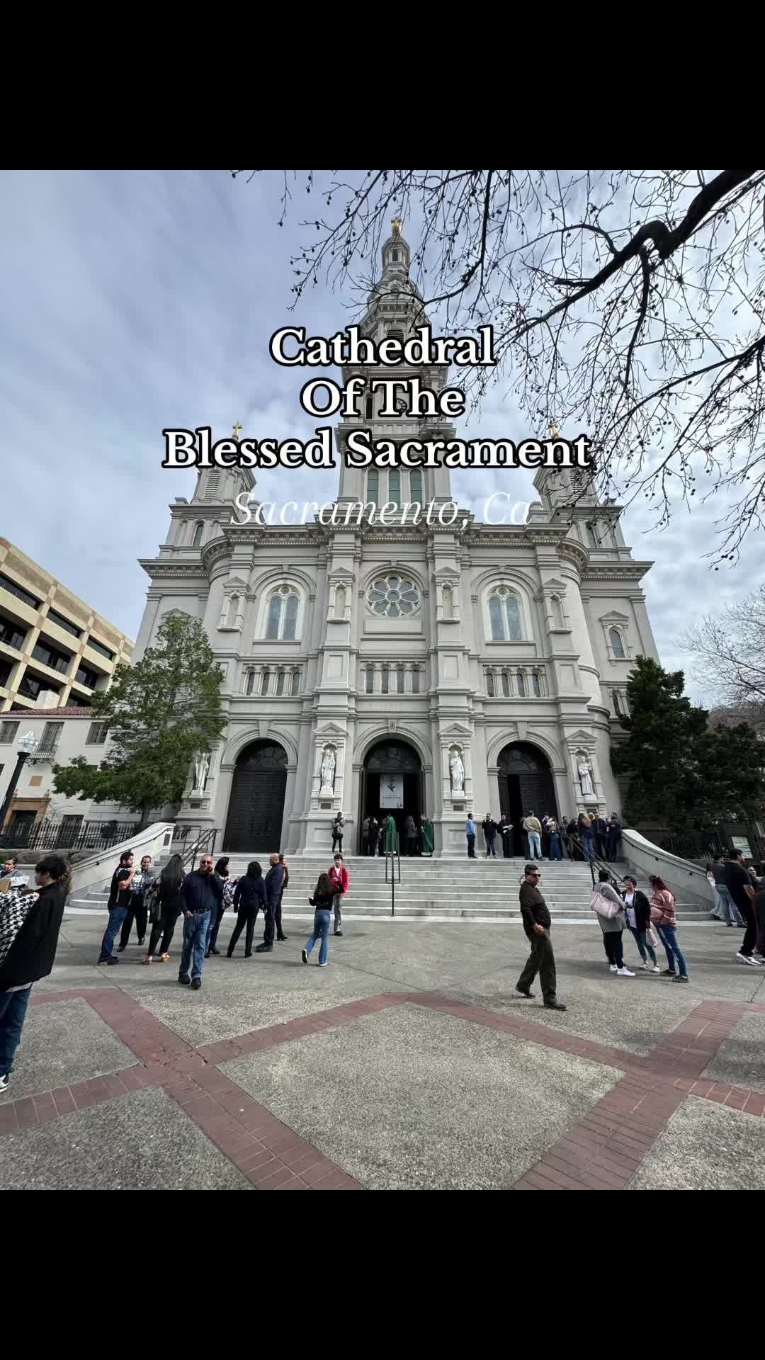 The Cathedral of the Blessed Sacrament