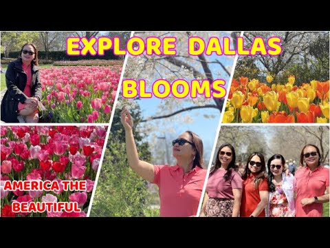 The Dallas Arboretum and Botanical Garden