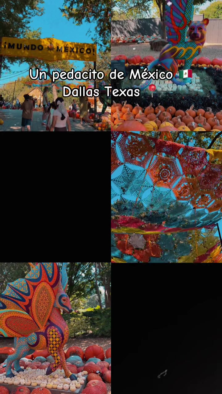 The Dallas Arboretum and Botanical Garden