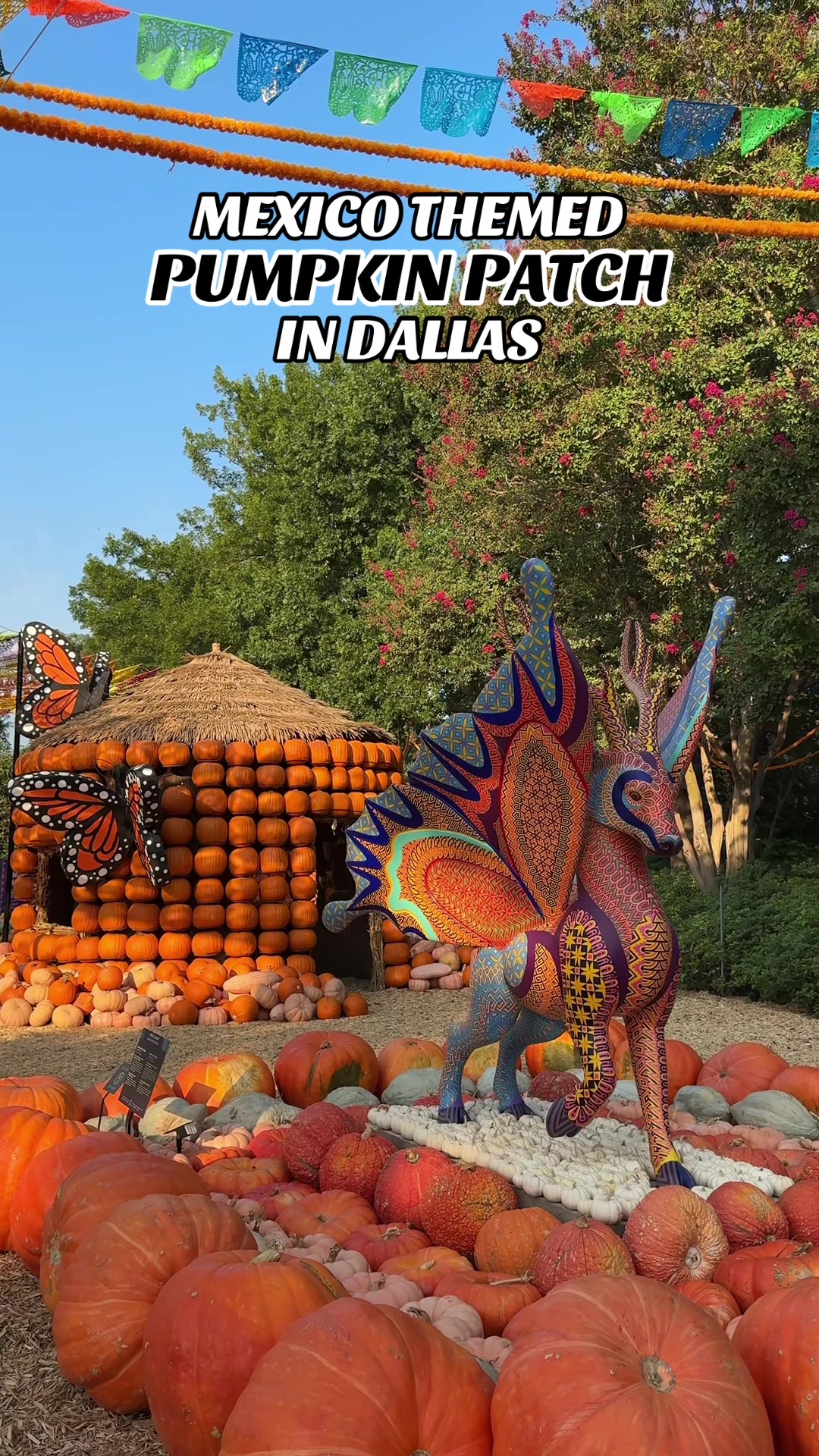 The Dallas Arboretum and Botanical Garden