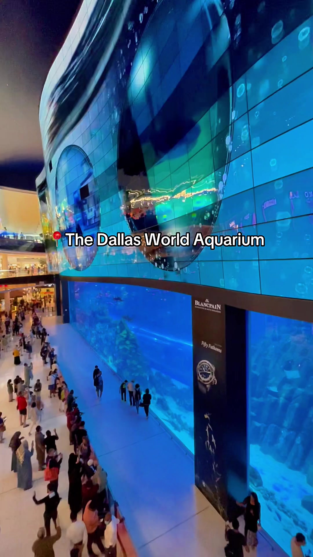The Dallas World Aquarium