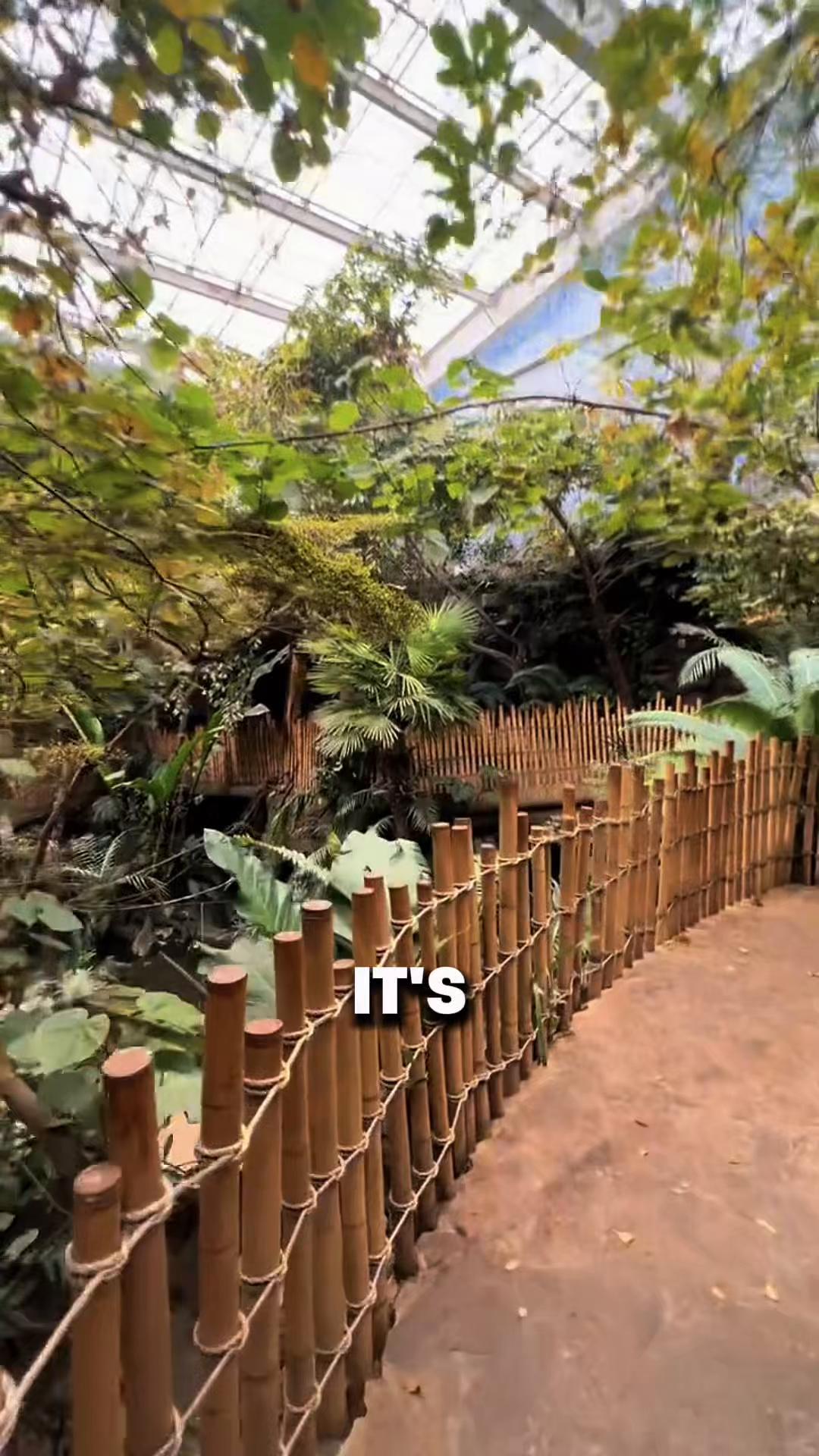 The Dallas World Aquarium
