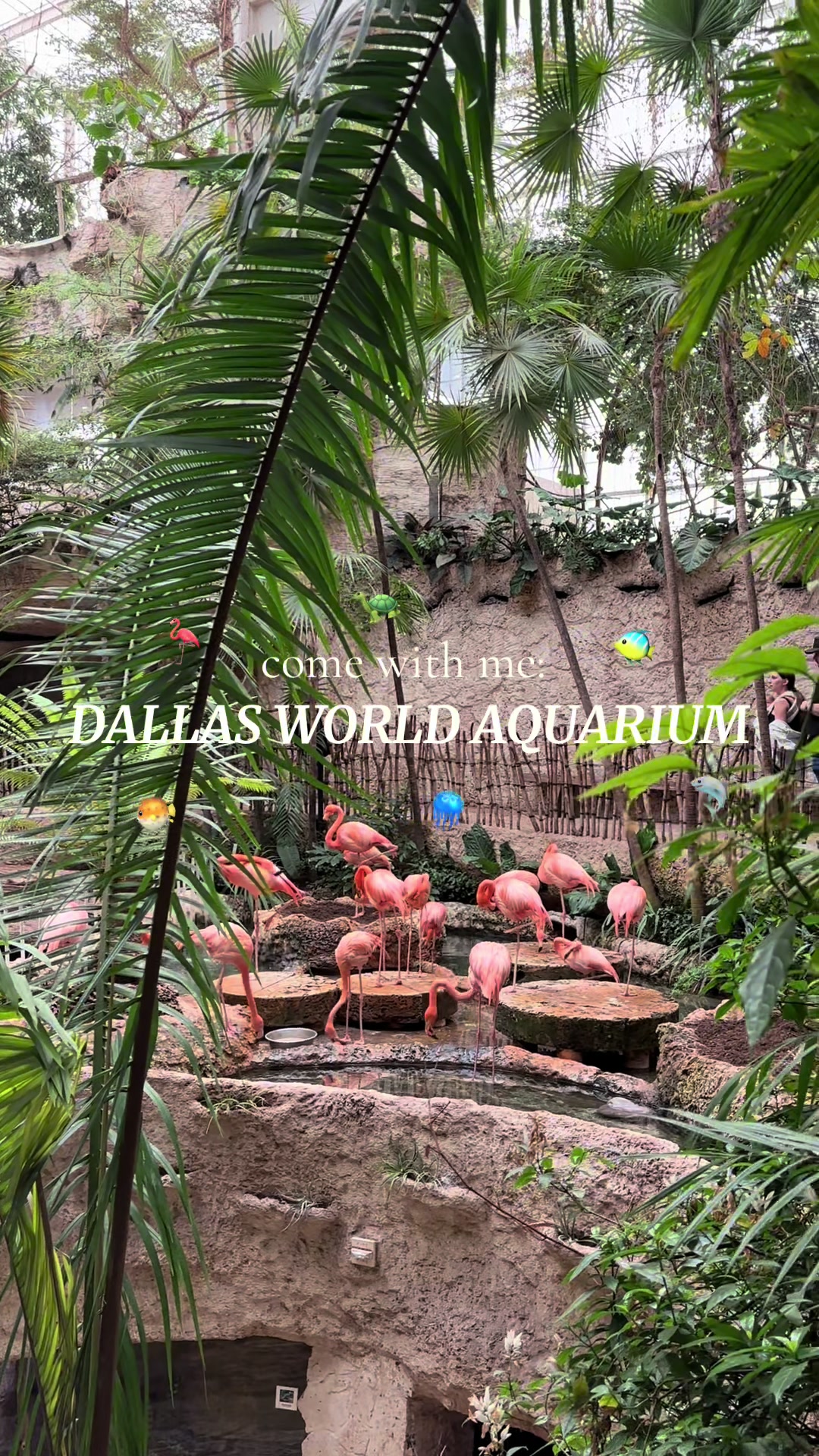 The Dallas World Aquarium